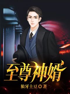 至尊神婿叶昊郑漫儿356