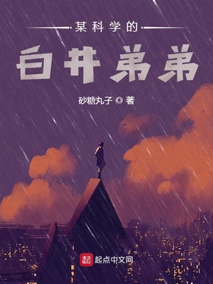 某科学的白井弟弟