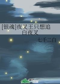 [银魂]夜叉王只想追白夜叉